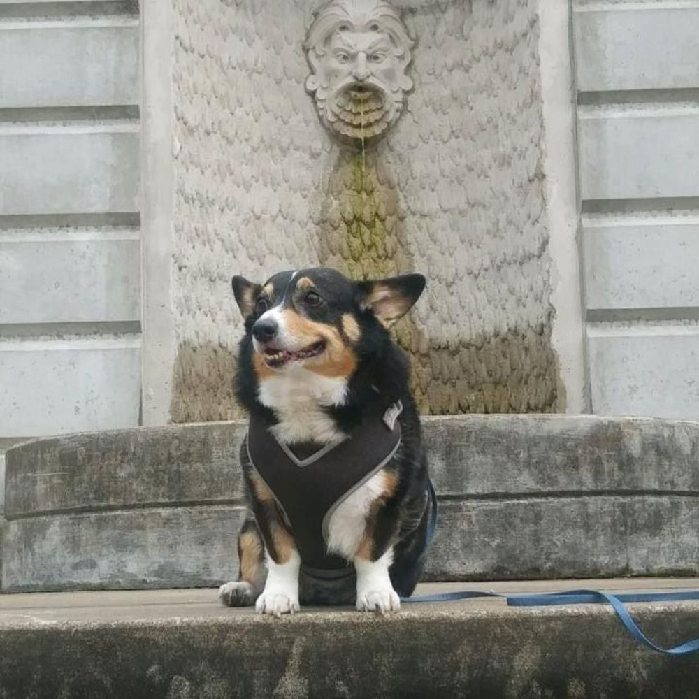 Meet your Posher, Tisa